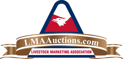 lmaauctions.com-logo